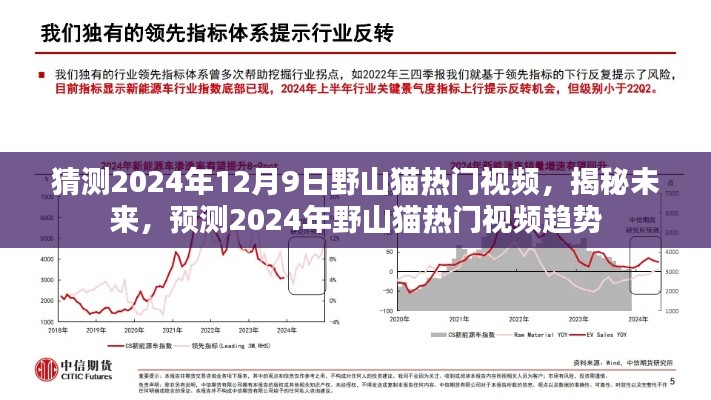 揭秘预测，野山猫热门视频趋势展望至2024年12月9日