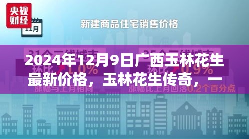 广西玉林花生最新价格与传奇故事，一场友情与陪伴的美味之旅