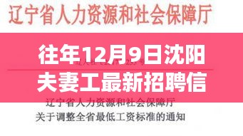 沈阳夫妻工最新招聘信息获取攻略，高效寻找工作机会的指南