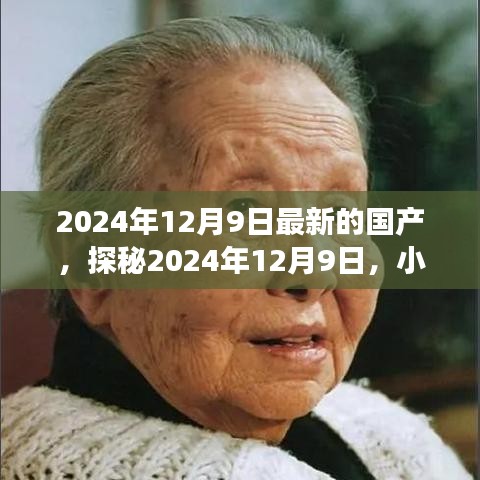 2024年12月10日 第30页