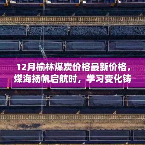 榆林煤炭最新价格动态，鼓舞人心的学习变化与成就之旅