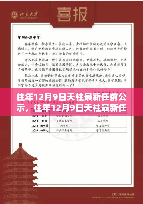 天柱最新任前公示详解，流程步步为赢，助力轻松完成公示任务