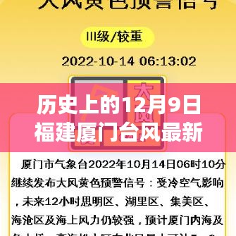 历史上的12月9日福建厦门台风最新消息全面解读与最新动态分析