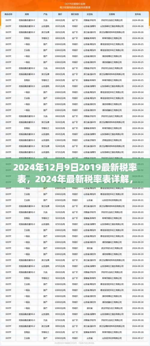 洞悉税务变化，2024年最新税率表详解与未来规划指南