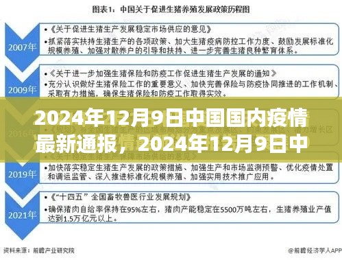 2024年12月9日中国疫情最新通报详解，了解现状与应对措施