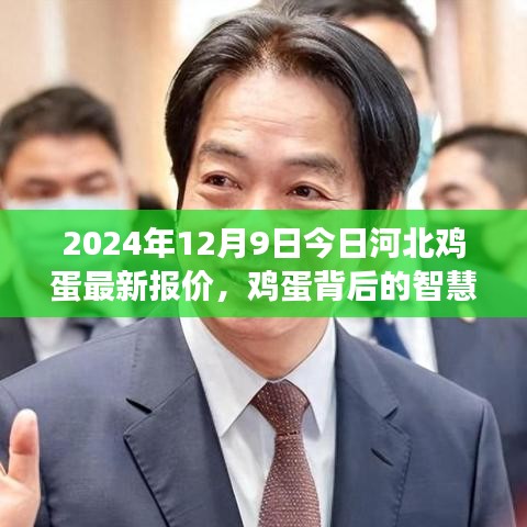 河北鸡蛋最新报价背后的智慧，学习变化，自信成就未来（2024年12月9日）