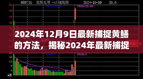 揭秘高效生态捕捉黄鳝新方法，2024年最新捕捉技巧分享。