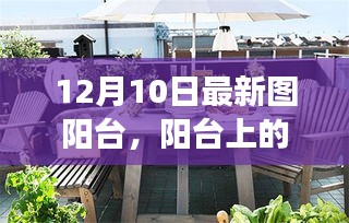 阳台上的温馨日常，阳光下的故事，12月10日的独特时光