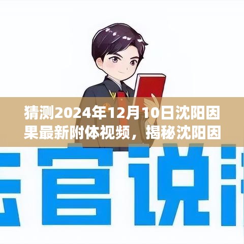 揭秘沈阳因果最新附体视频，背景、事件与影响及猜测（2024年12月10日）