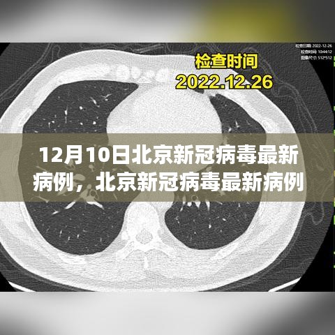 北京新冠病毒最新病例分析报告，深度解读（截至12月10日）