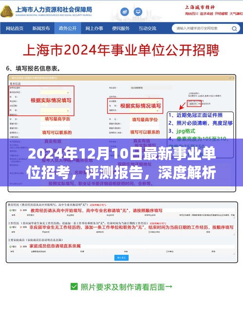 深度解析，最新事业单位招考测评报告（2024年12月版）