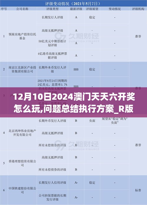 12月10日2024澳门天天六开奖怎么玩,问题总结执行方案_R版9.896