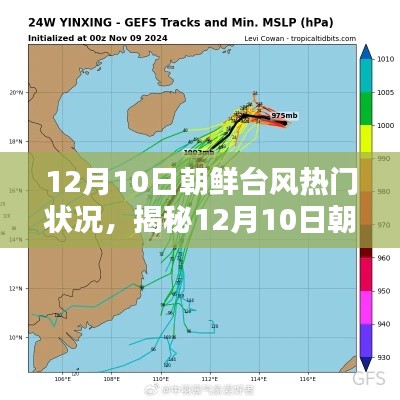 揭秘，12月10日朝鲜台风热门状况深度解析与三大要点探讨