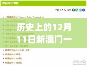 历史上的12月11日新澳门一码一码100准确,深入执行数据应用_入门版6.590