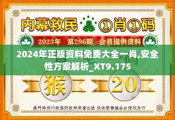 2024年正版资料免费大全一肖,安全性方案解析_XT9.175