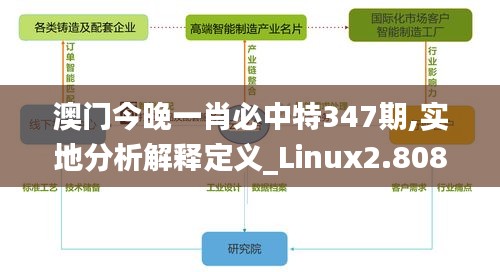 澳门今晚一肖必中特347期,实地分析解释定义_Linux2.808