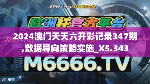 2024澳门天天六开彩记录347期,数据导向策略实施_X5.343