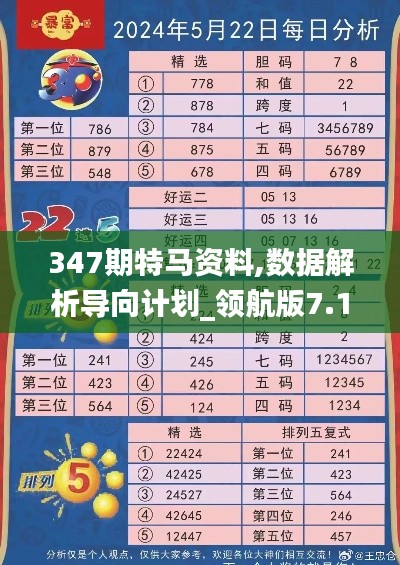 347期特马资料,数据解析导向计划_领航版7.162