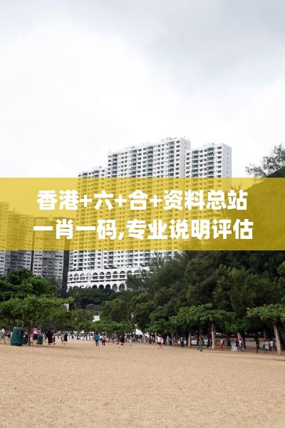 香港+六+合+资料总站一肖一码,专业说明评估_10DM19.369