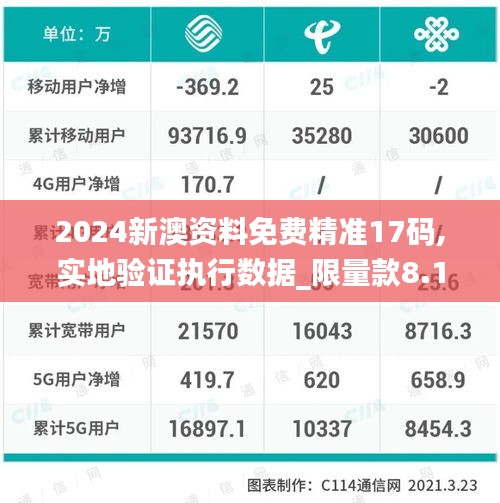 2024新澳资料免费精准17码,实地验证执行数据_限量款8.129