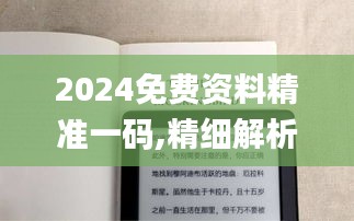 2024免费资料精准一码,精细解析说明_Kindle4.232