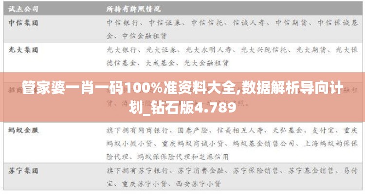 管家婆一肖一码100%准资料大全,数据解析导向计划_钻石版4.789