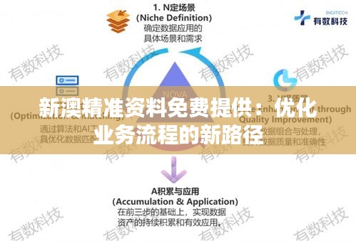 新澳精准资料免费提供：优化业务流程的新路径