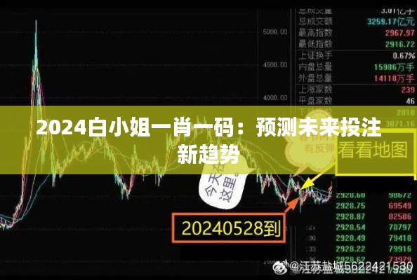 2024白小姐一肖一码：预测未来投注新趋势