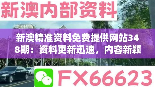 新澳精准资料免费提供网站348期：资料更新迅速，内容新颖