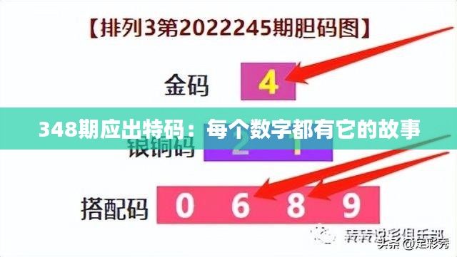 348期应出特码：每个数字都有它的故事