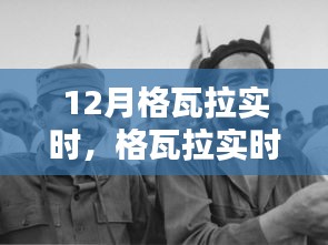 2024年12月13日 第6页