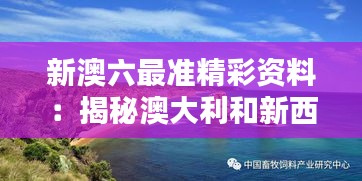 新澳六最准精彩资料：揭秘澳大利和新西兰背后的魅力