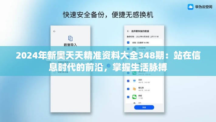 2024年新奥天天精准资料大全348期：站在信息时代的前沿，掌握生活脉搏