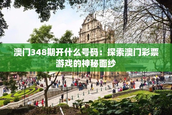 澳门348期开什么号码：探索澳门彩票游戏的神秘面纱