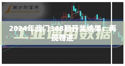 2024年澳门348期开奖结果：再现奇迹