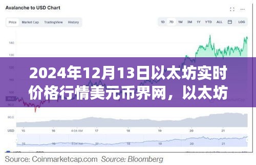 2024年12月14日 第33页