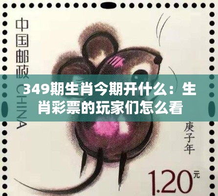 349期生肖今期开什么：生肖彩票的玩家们怎么看