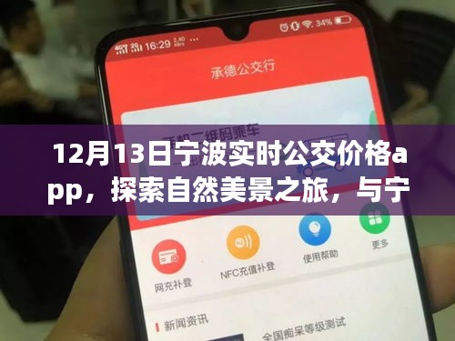 宁波实时公交价格app，探索自然美景与内心宁静之旅