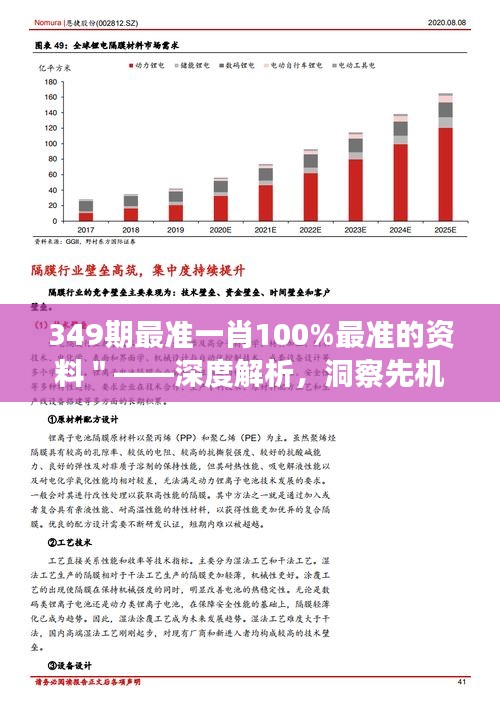 349期最准一肖100%最准的资料＂——深度解析，洞察先机