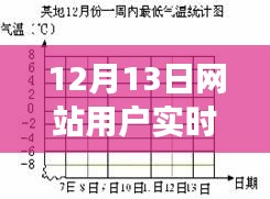 揭秘真相与争议，12月13日网站用户实时统计表格深度分析