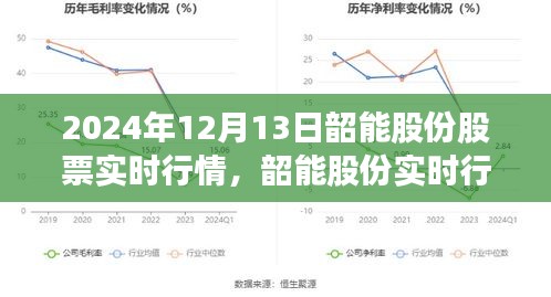 韶能股份实时行情解析，深度洞察股市动态，洞悉未来趋势