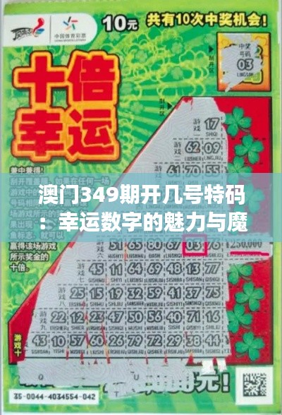 澳门349期开几号特码：幸运数字的魅力与魔力