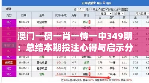 澳门一码一肖一恃一中349期：总结本期投注心得与启示分享