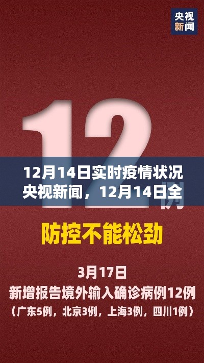 央视新闻深度解析，全球疫情实时状况报告（12月14日）