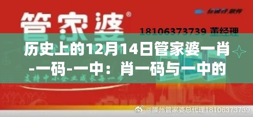 历史上的12月14日管家婆一肖-一码-一中：肖一码与一中的合作与共赢