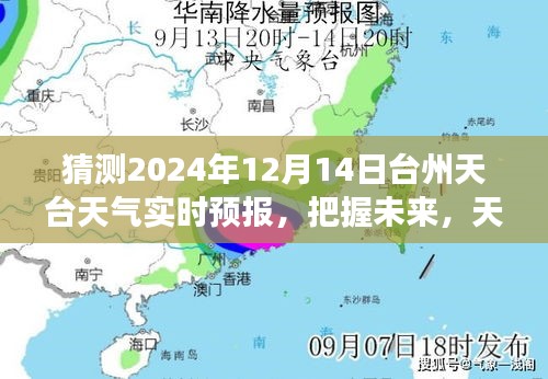 2024年12月14日 第11页