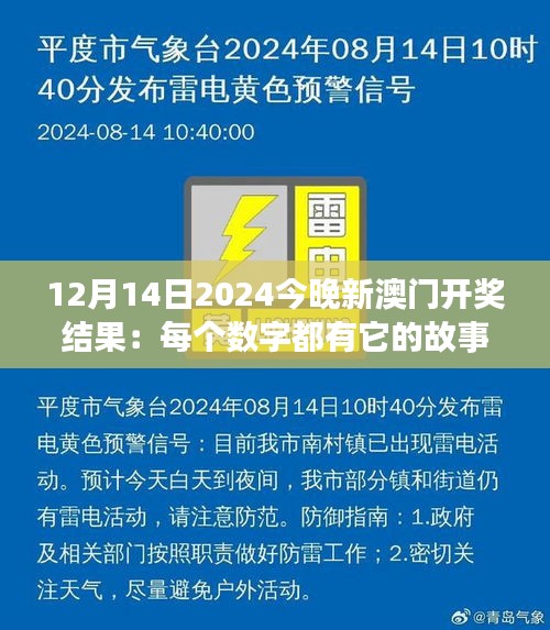 12月14日2024今晚新澳门开奖结果：每个数字都有它的故事，新澳门开奖夜，幸运属于谁？