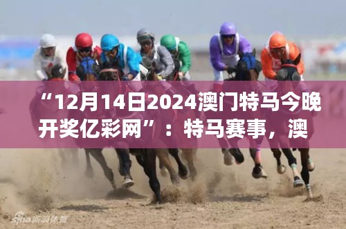 “12月14日2024澳门特马今晚开奖亿彩网”：特马赛事，澳门的骄傲