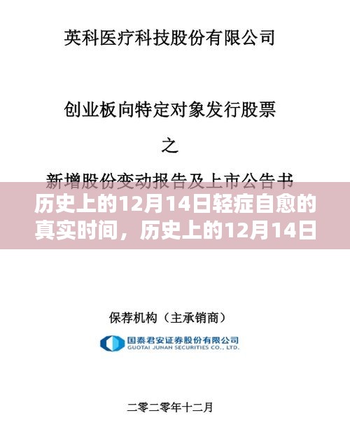 历史上的12月14日轻症自愈现象，全面评测与深度解析的真实时间记录