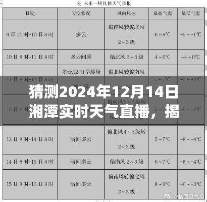 2024年12月14日 第2页